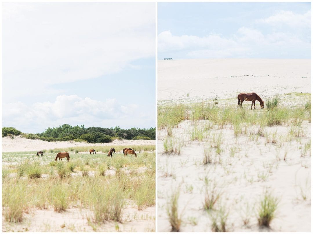 Outer Banks 2019 | Family Vacation